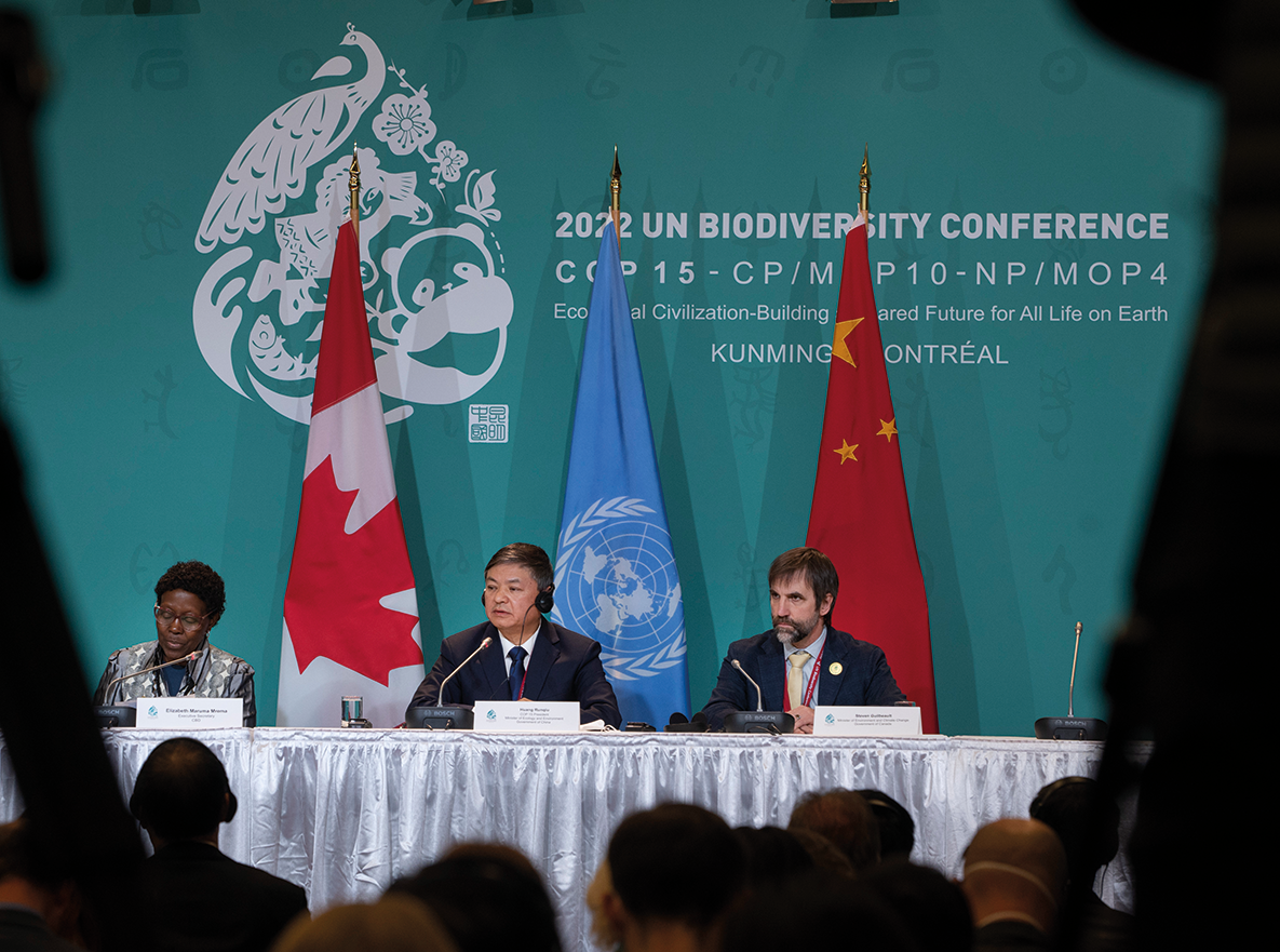 UN biodiversity conference what does living in harmony with nature